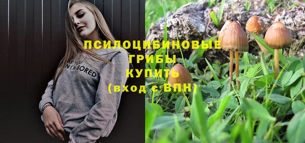 мяу мяу кристалл Горняк