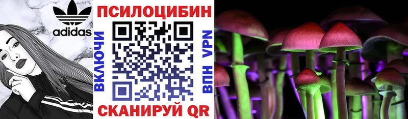 Купить закладки Ковдор Галлюциногенные грибы мицелий